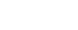 31 31%
