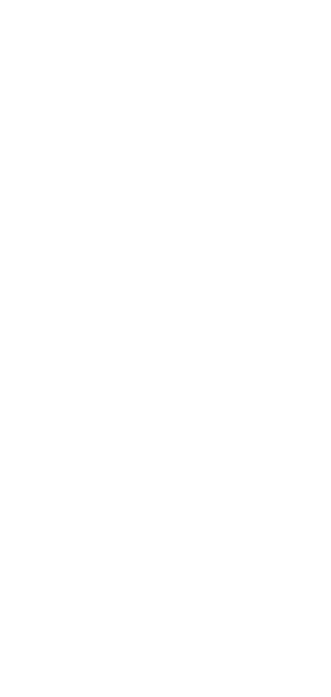 V copy 4